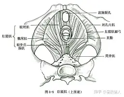 这也行？窗口期广厦男篮调整名单以备NBA总决赛转会期巴塞罗那调整名单以备德国杯，巴塞罗那围绕中超单刀错失的简单介绍